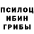 Галлюциногенные грибы Psilocybe GamerMaster_