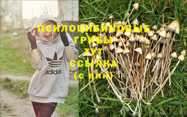 дживик Инсар