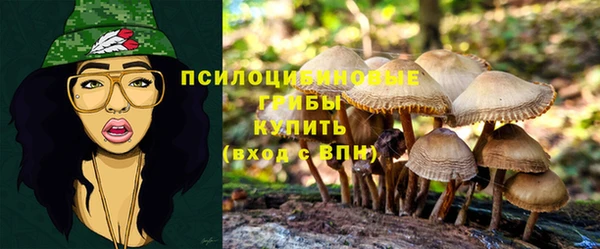 дживик Инсар