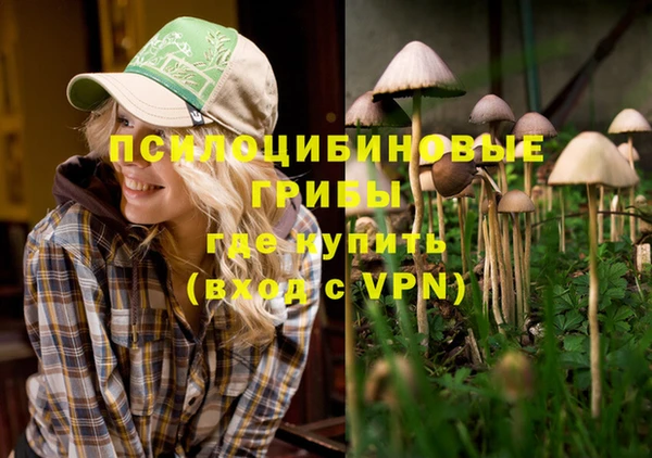 дживик Инсар