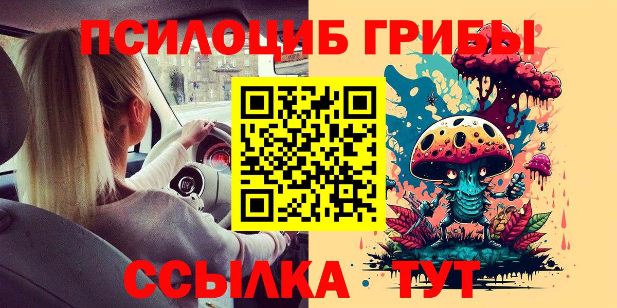 Псилоцибиновые грибы Psilocybe Рязань